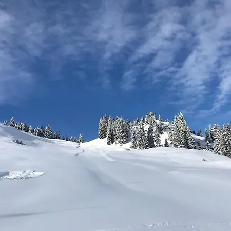 Διαμέρισμα Zillertal Panorama Blick Balkon Sauna