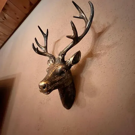 Διαμέρισμα Zillertal Panorama Blick Balkon Sauna *