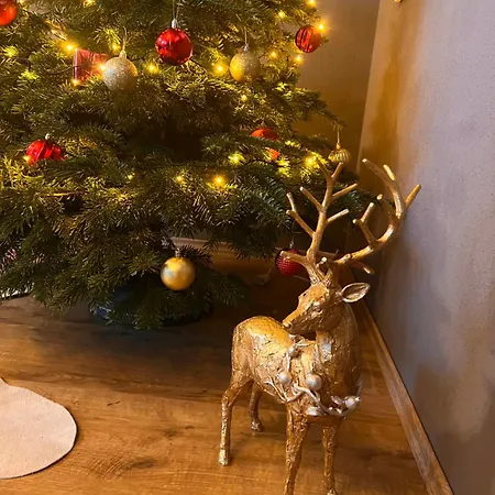 Апартаменты Zillertal Panorama Blick Balkon Sauna *