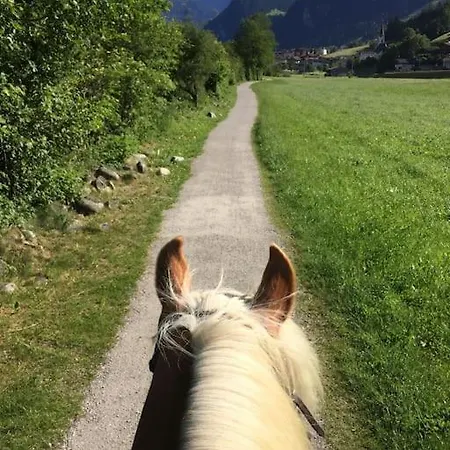 Zillertal Panorama Blick Balkon Sauna *